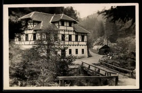 AK Gutau /O.-Ö., Weg zum Gasthaus Waldeist