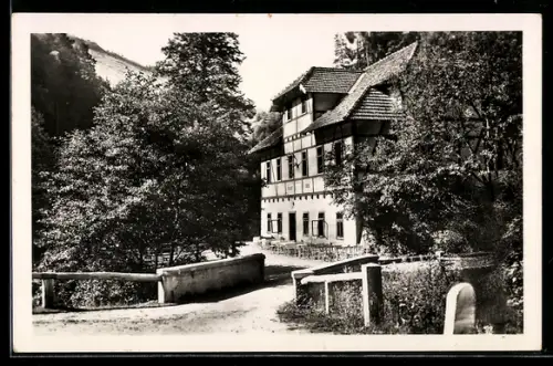 AK Gutau /O.-D., Weg zur Pension Waldeist