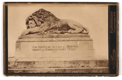 Fotografie Ansicht Wien, Löwendenkmal, Kriegerdenkmal für die 1809 Gefallenen