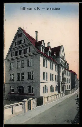 AK Dillingen a. D., Immaculator mit Strassenpartie