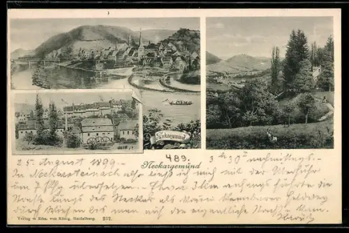 AK Neckargemünd, Teilansicht, Neckarpartie mit Stadt, Landschaftspanorama