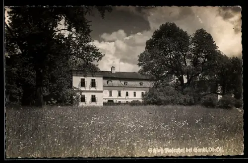 AK Sandl /O.-Ö., Schloss Rosenhof, Ansicht mit Wiese und Bäumen