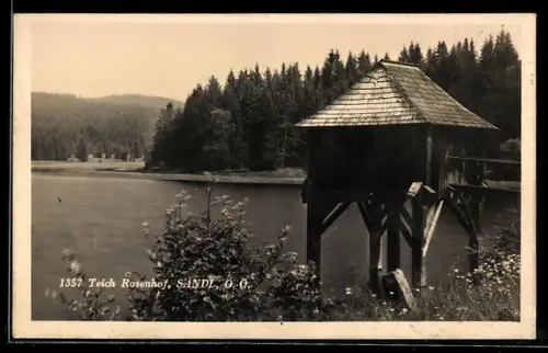 AK Sandl /O. Ö., Teich Rosenhof