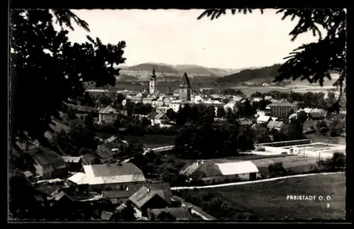AK Freistadt /O.Ö., Panorama mit Stadt und Ttürmen