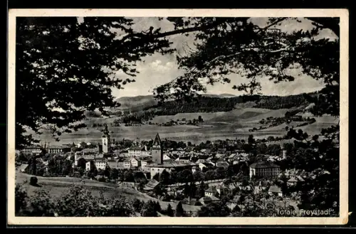 AK Freystadt, Totalsansicht aus der Vogelschau