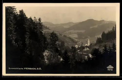 AK Pierbach /O. Ö., Ortsansicht mit Umgebung