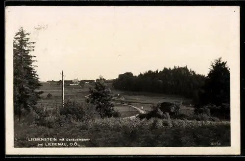 AK Liebenau /N.-Oe., Liebenstein mit Jankusmauer, Panorama mit Gehöften, Strasse und Waldrand