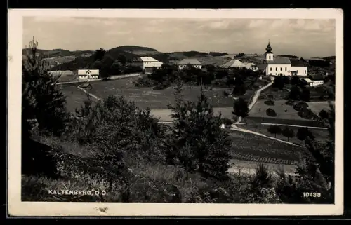 AK Kaltenberg /O.-Ö., Ortspartie mit Kirche