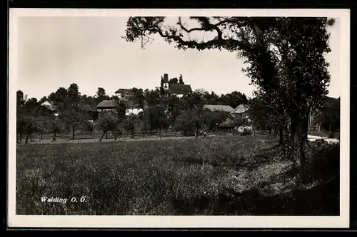 AK Walding /O.-Ö., Teilansicht mit Kirche