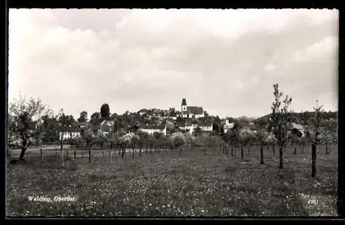AK Walding /Oberöst., Blick auf Kirche mit Blumenwiese