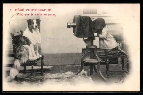 AK Junger Fotograf macht ein Porträt seines Hundes, Fotoapparat