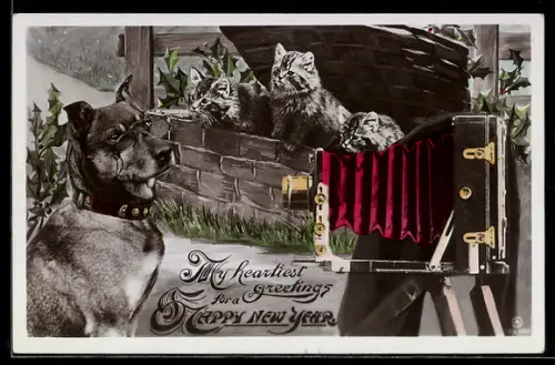 AK Hund mit Brille fotografiert süsse Kätzchen, Happy New Year Greetings, vermenschlichte Tiere, Fotoapparat
