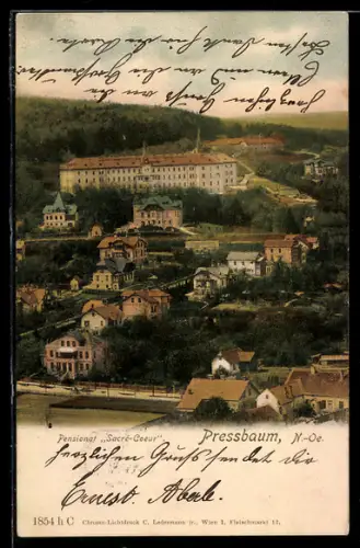 AK Pressbaum /N.-Ö., Pensionat Sacré-Coeur und Ortsansicht