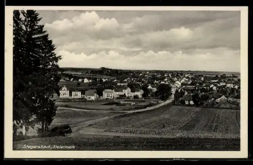 AK Stegersbach /Steiermark, Panorama mit Ort und Feldern