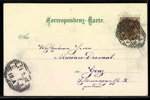 Lithographie Wien, Ansicht vom Rathaus