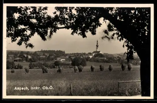 AK Aspach /Innkr., Panorama mit Kirche