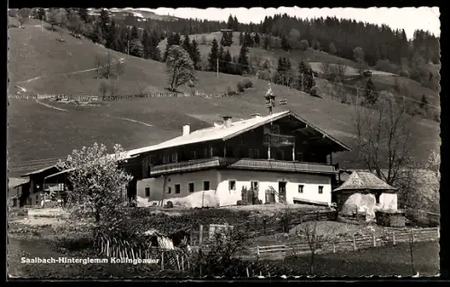 AK Saalbach-Hinterglemm, Kollingbauer, Bauernhof am Hang