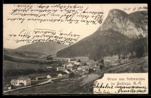 AK Schwarzau im Gebirge, Panorama mit Kirche und Felswand