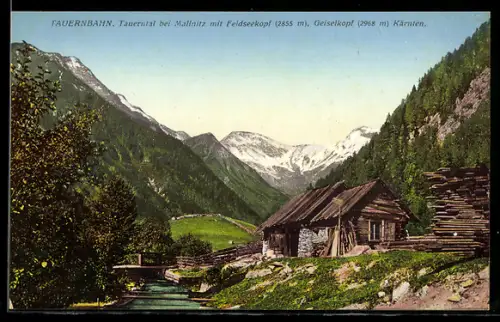 AK Mallnitz in Kärnten, Tauernbahn im Tauerntal mit Feldseekopf und Geiselkopf