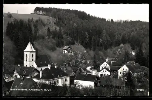 AK Hassbach /N. Oe., Mit Kirche und Ortsansicht
