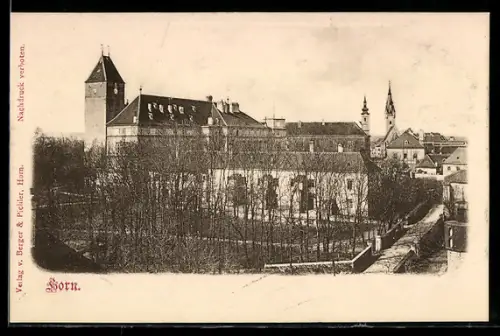AK Horn, Panorama mit Schloss und Kirchtürmen