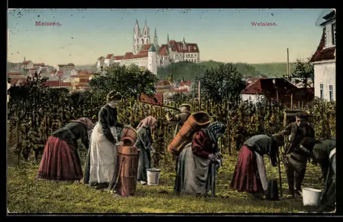 AK Meissen, Frauen und Männer bei der Weinlese