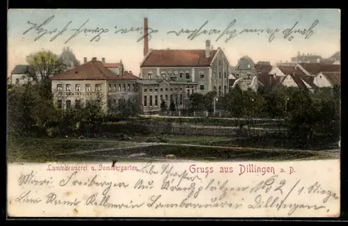 AK Dillingen a. D., Lammbrauerei und Gasthof Sommergarten