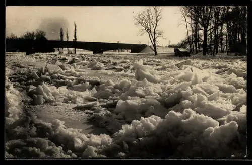Foto-AK Dillingen / Donau, Eisstoss auf dem Fluss ca. 1929, Donaubrücke