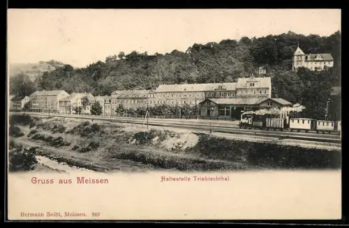 AK Meissen, Haltestelle Triebischtal mit einfahrendem Zug, Bahnhof