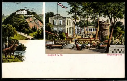 AK Nossen i. Sa., Gasthaus Bergschlösschen, Hermann Busch, Eingang mit aufgestellten Feldkanonen