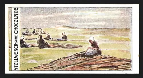 Sammelbild Stollwerk`sche Schokolade, Adler-Cacao, Frauen beim Flicken von Netzen