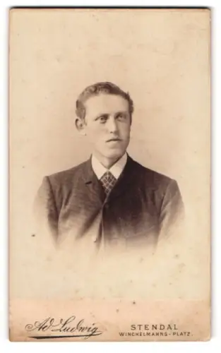 Fotografie Ad. Ludwig, Stendal, Portrait junger Herr im Anzug mit Krawatte