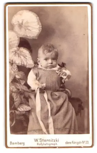 Fotografie W. Sternitzki, Bamberg, Obere Königstr. 20, Porträt eines Kleinkindes