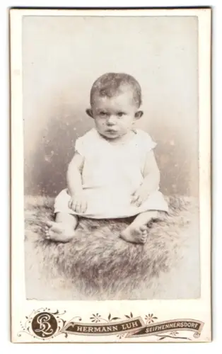 Fotografie Hermann Luh, Seifhennersdorf, Oberdorf 5, Kleinkind im weissen Kleid auf Fell