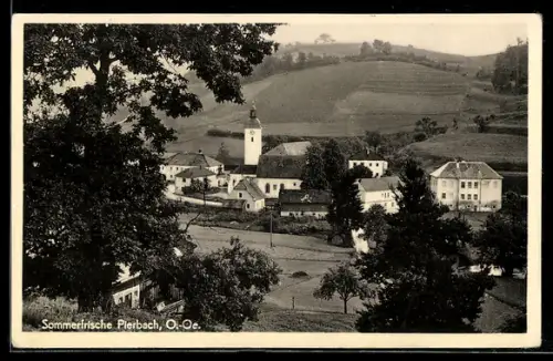 AK Pierbach /O. Oe., Ort mit Kirche u. Umgebung