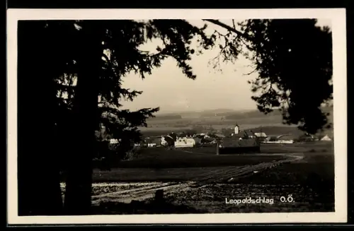 AK Leopoldschlag /O.Ö., Panorama mit Dorf und Kirche
