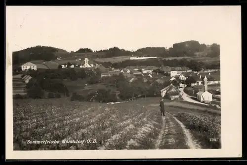 AK Königswiesen /O. D., Mönchdorf, Ortsansicht von einem Feldweg aus
