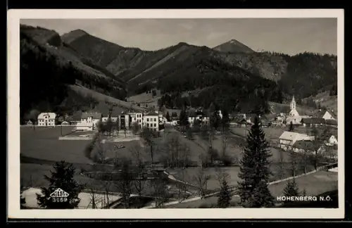 AK Hohenberg /N.-Ö., Ortspanorama mit Kirche und Bergkulisse
