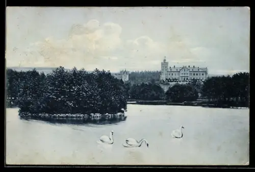 AK Jisebnice, Zamen, Blick nach dem Schloss mit Schwänen