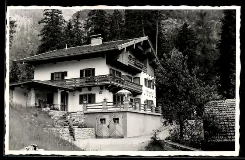 AK Lofer /Salzburg, Pension Tannenhof Knoll mit Waldrand