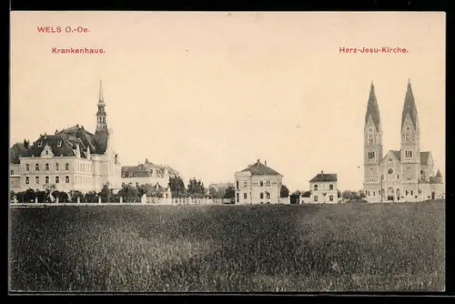 AK Wels /Ob. Öst., Krankenhaus, Herz-Jesu-Kirche, Panorama