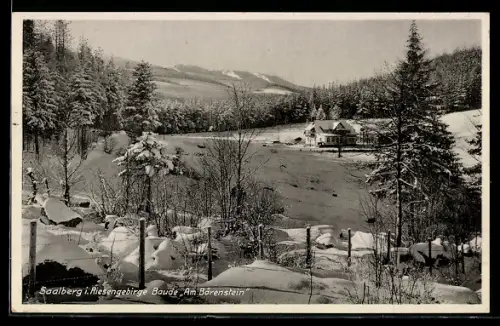 AK Saalberg i. Riesengebirge, Baude Am Bärenstein, Besitzer R. Frenzel