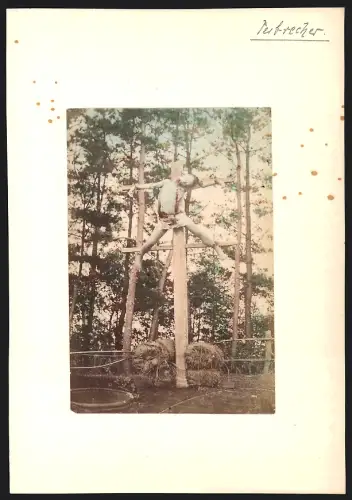 Fotografie Felice Beato, Diener Sokichi nach dem Mord an Nikisasuro gekreuzigt, Japaner, Post mortem