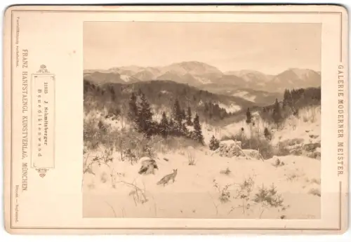 Fotografie Franz Hanfstaengl, München, Ansicht Benediktbeuern, Benediktenwand, Fuchs in der winterlichen Landschaft