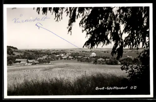 AK Mettmach /O.Ö., Gross-Weiffendorf, Panorama mit Ort und Feldern