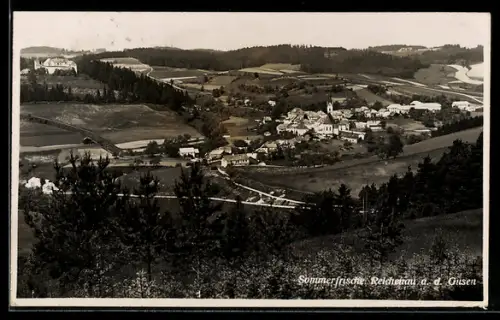 AK Reichenau a. d. Gusen, Gesamtansicht mit Umgebung