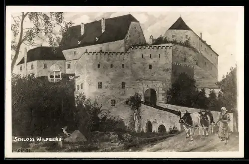 Künstler-AK Kirchschlag bei Linz, Wildberg, Schloss in der Vergangenheit