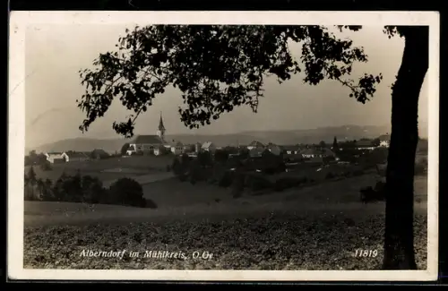 AK Alberndorf im Mühlkreis, Ortspanorama mit Kirche