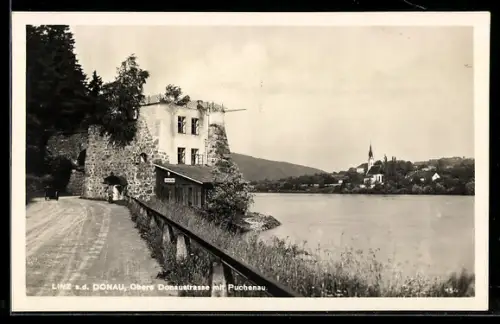 AK Linz a. d. Donau, Obere Donaustrasse mit Puchenau
