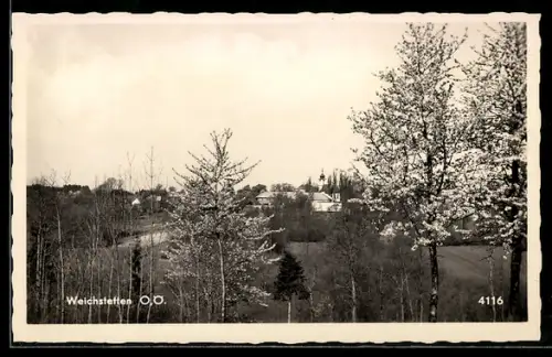 AK St. Marien /O. Ö., Weichstetten, Panorama mit Kirche